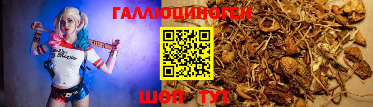 Канабис Краснодар